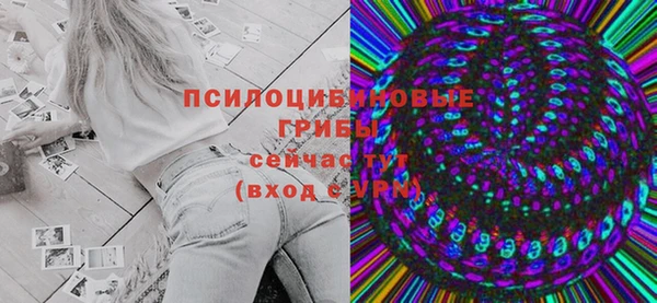 твердый Костерёво