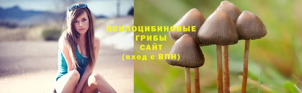 амф Коряжма