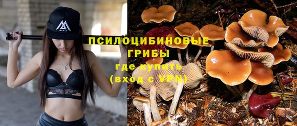 молекула духа Корсаков