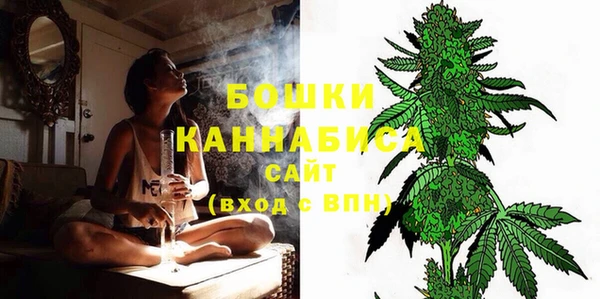 амф Коряжма